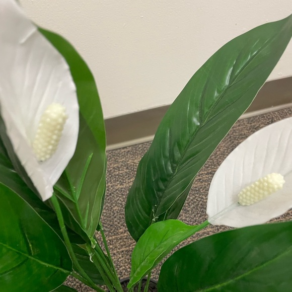 NWOT Faux White and Green Peace Lily Plant with Black Bottom Base Planter - Picture 5 of 5